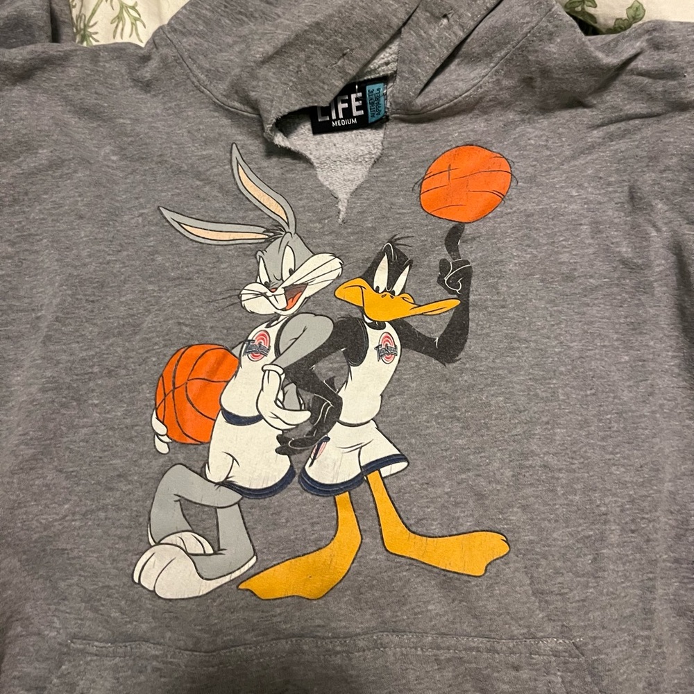Vintage Space Jam/Looney Tunes Hoodie